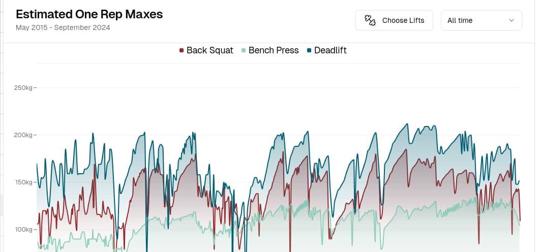 Tracking Big Picture Progress: How to Use the Strength Visualizer article image