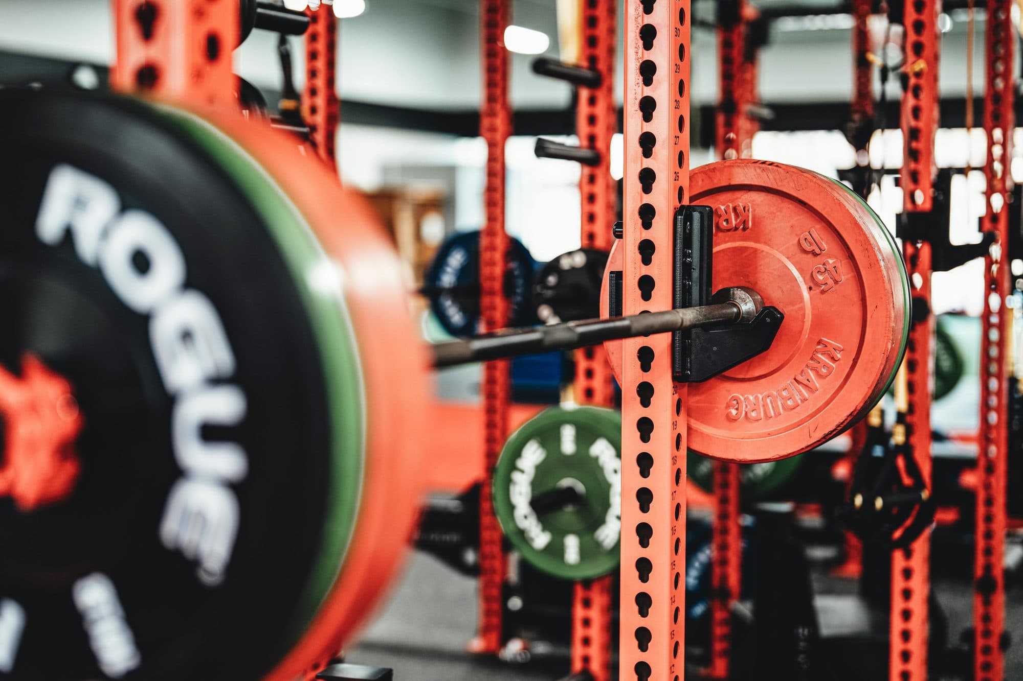How often should I test my one rep max? article image
