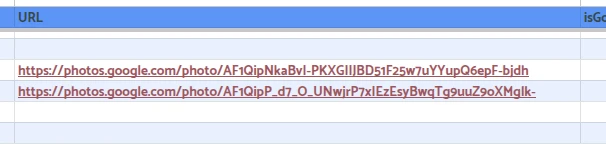 A Google Sheet URL column holding Google Photos links