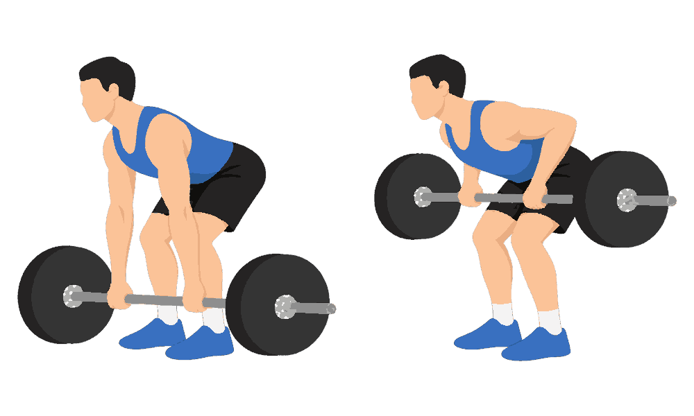 Barbell Row diagram