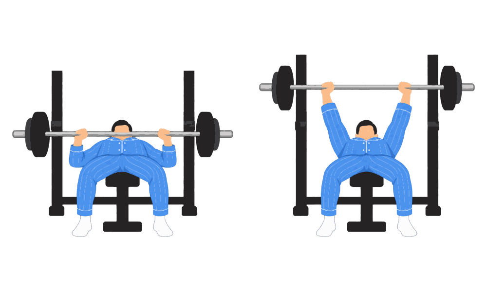 Pause Bench Press diagram