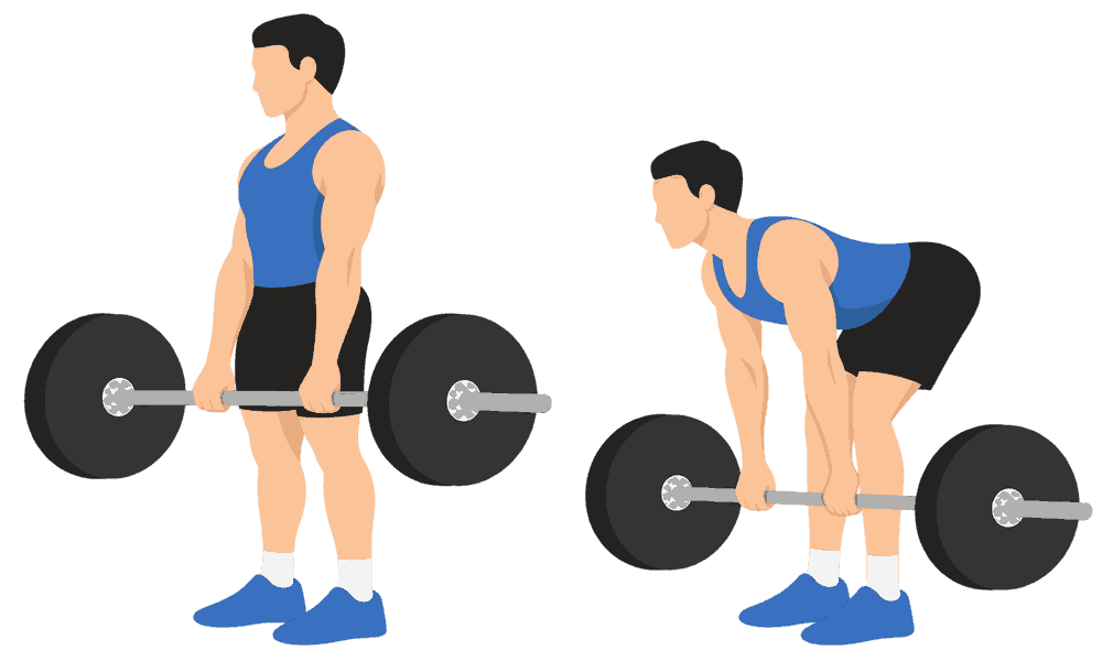 Romanian Deadlift diagram